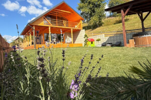 The Cottage Under the Birches