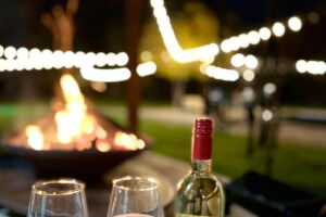 Badash Tiny Village, The Wolf Den