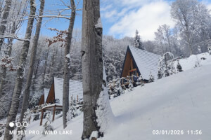 Wild Lake Village - Wind Cabin