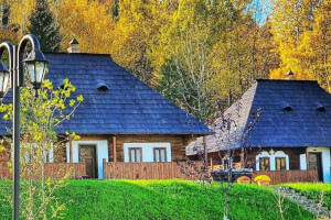 Traditional House 1 - Vatra Boiereasca