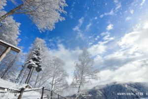 Wild Lake Village - Sun Cabin 