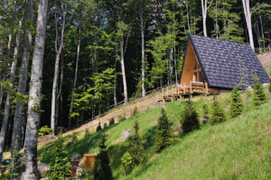 Wild Lake Village - Wind Cabin