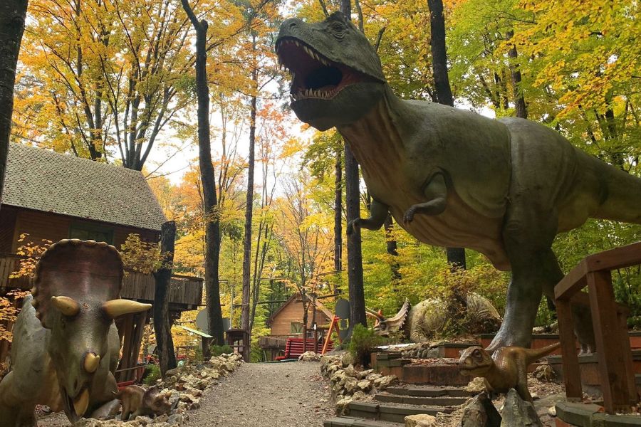 dino-parc-rasnov-brasov