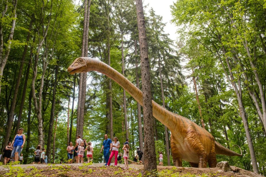 dino-parc-rasnov-brasov