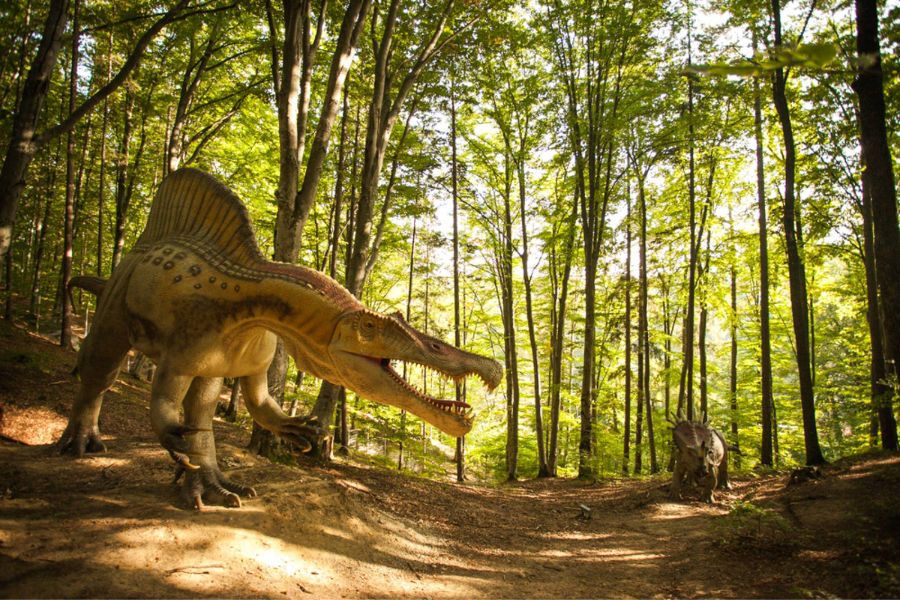 dino-parc-rasnov-brasov