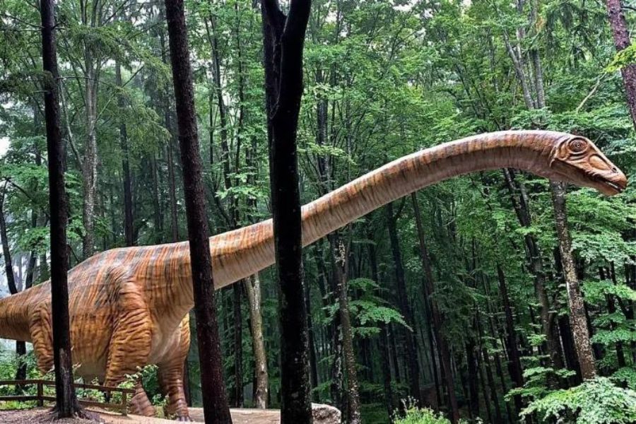 dino-parc-rasnov-brasov